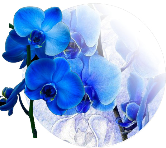 Placemats Blue Orchids