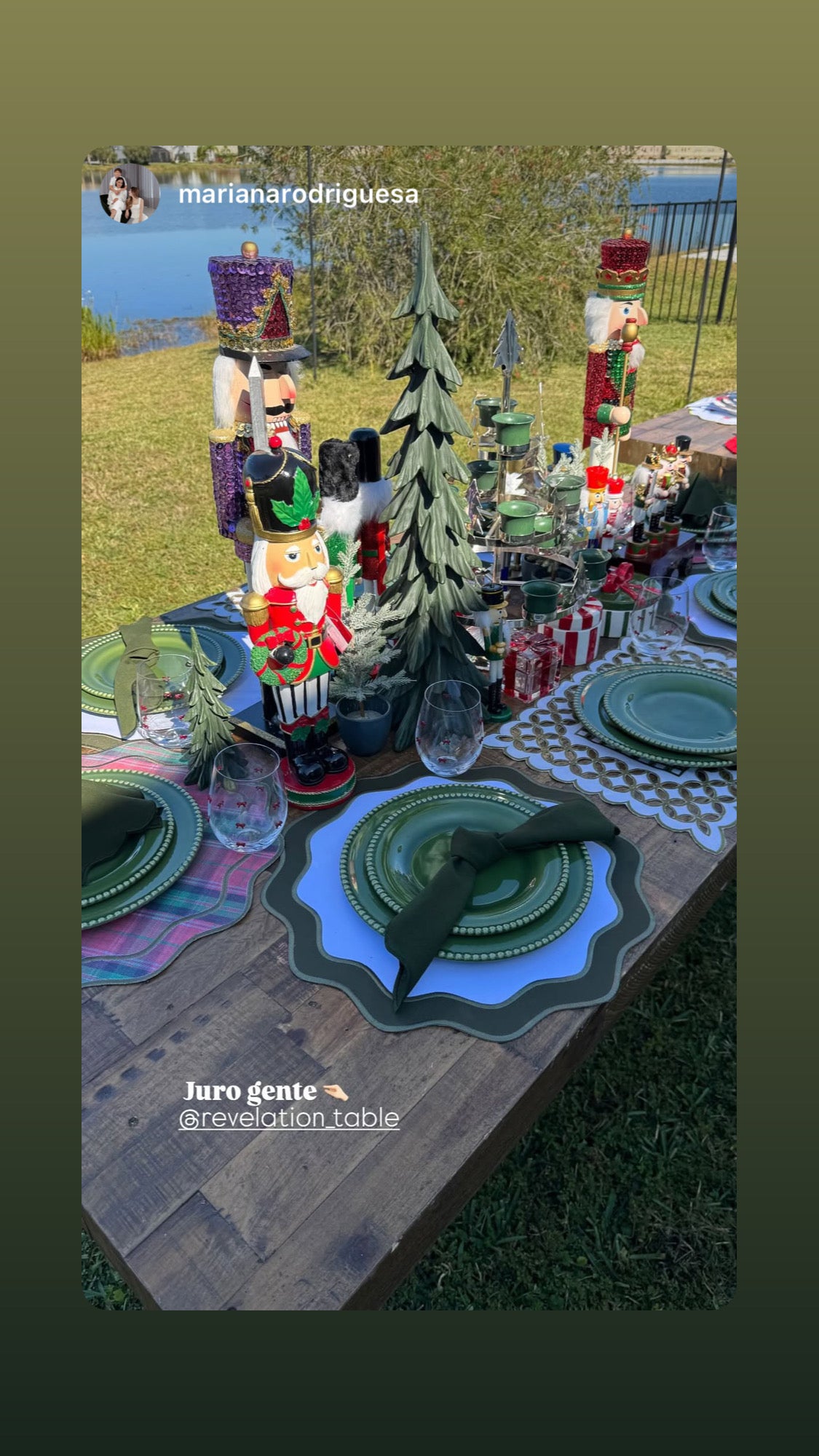 Placemets double-sided, checkered and embroidered napkins